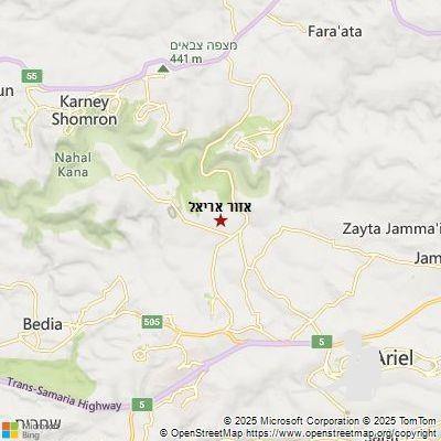 Image of אזור אריאל area